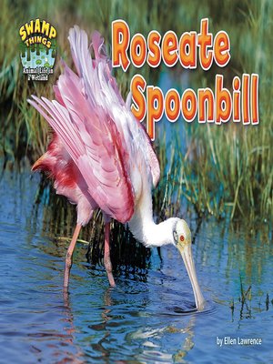 cover image of Roseate Spoonbill